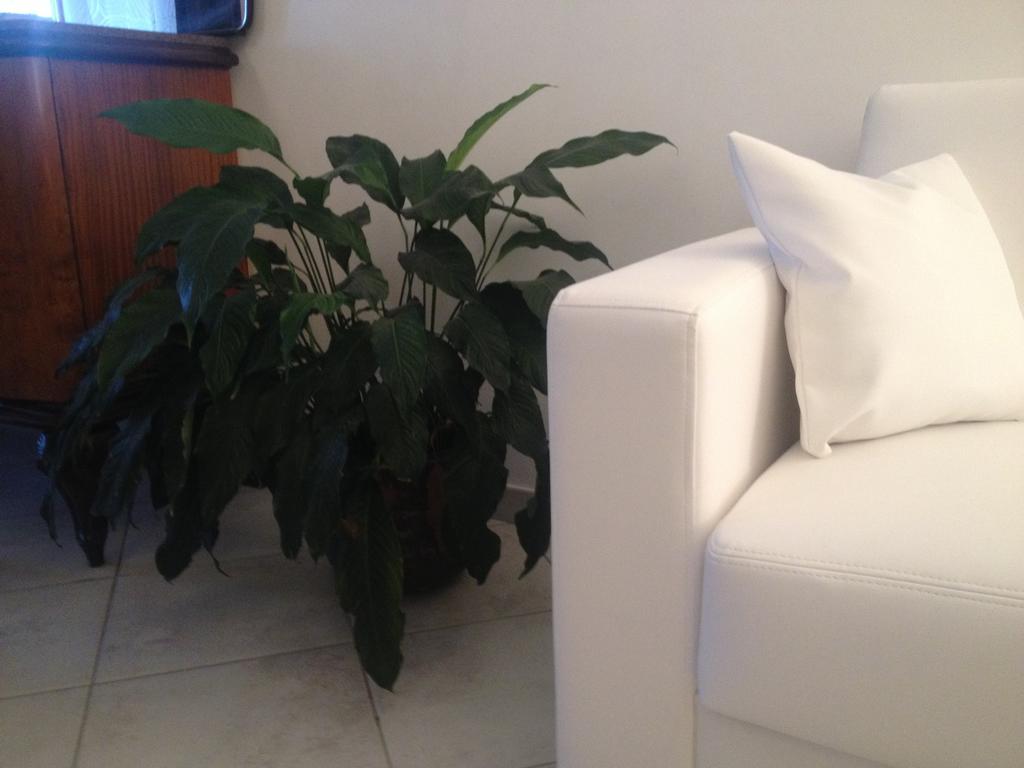 Via Roma Suite Ortona Exterior photo